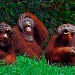 laugh away anxiety