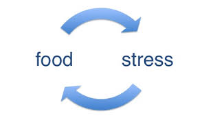food and stress horsham, crawley and west sussex